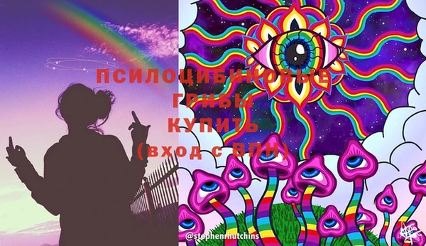 ГАЛЛЮЦИНОГЕННЫЕ ГРИБЫ Алексеевка