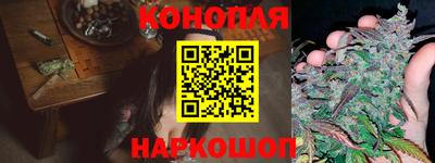 дживик Ачхой-Мартан