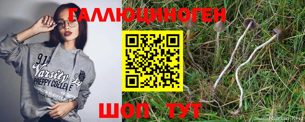 купить наркотик  Галлюциногенные грибы Magic Shrooms  Псилоцибиновые грибы GOLDEN TEACHER  Вход с VPN  Пермь 