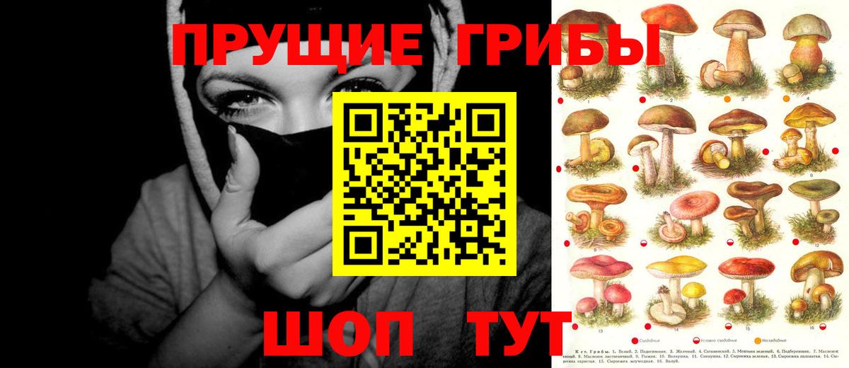 Галлюциногенные грибы Cubensis Пермь