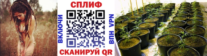 Канабис THC 21% где купить наркотик Пермь